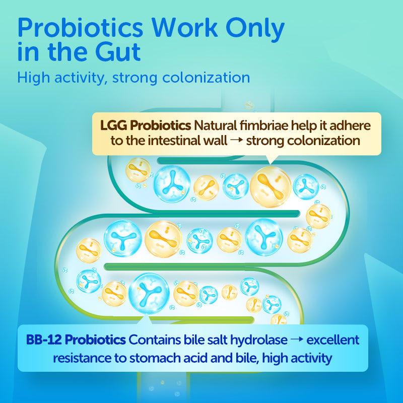 Ddrops Probiotik 5ml 150 titis